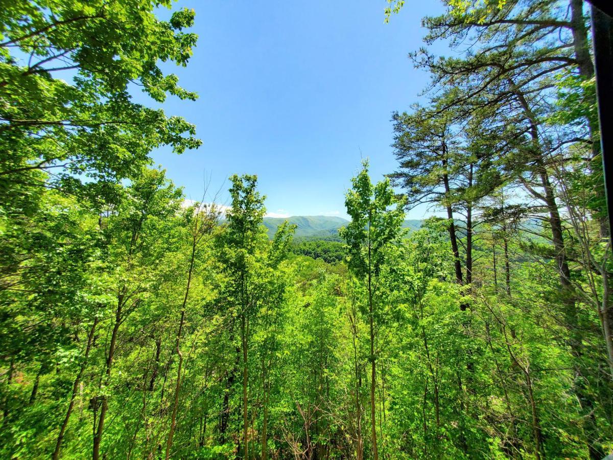 Mountain Ridge Villa Pigeon Forge Bagian luar foto