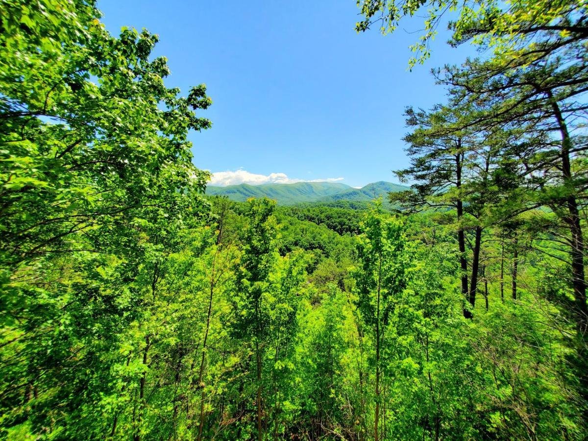 Mountain Ridge Villa Pigeon Forge Bagian luar foto